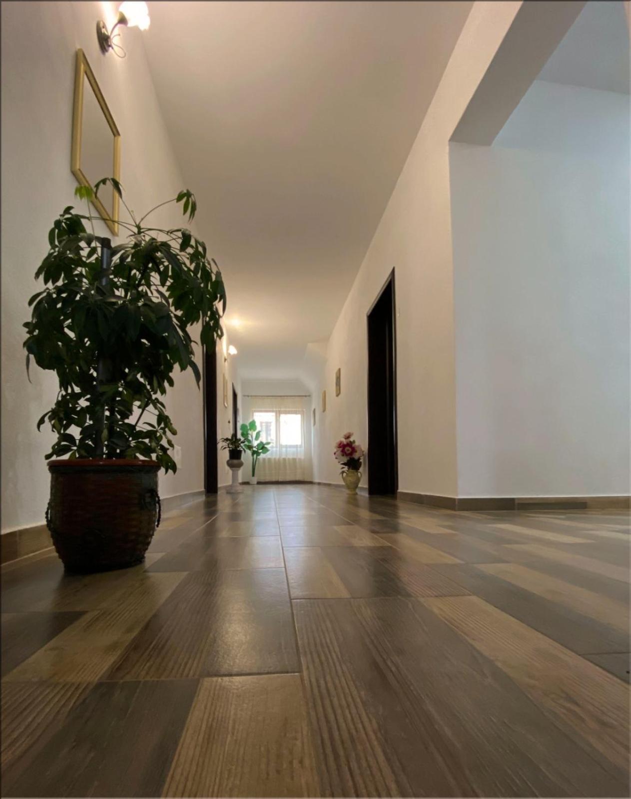Casa Monica Guest House Dragus ภายนอก รูปภาพ